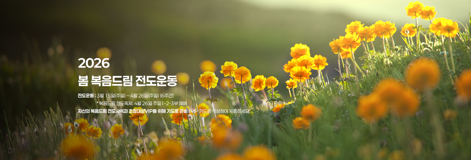 봄 복음도림 전도운동